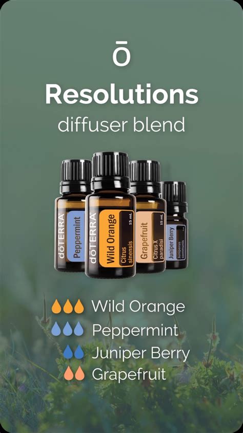 Embrace the Versatility of Essential Oils