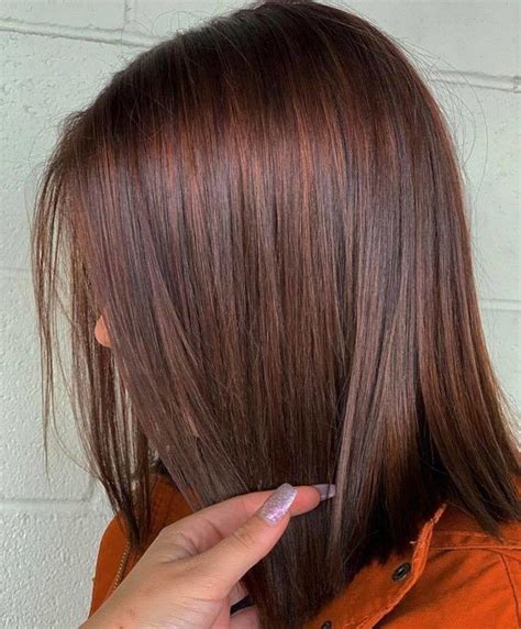 Embrace the Warmth: Enhance Your Look with a Cinnamon Brown Wig
