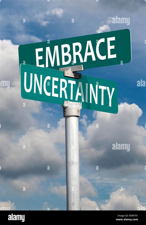 Embrace uncertainty: