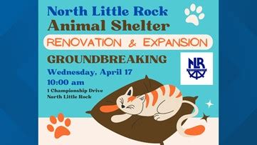 Embracing Compassion: A Comprehensive Guide to the NLR Animal Shelter