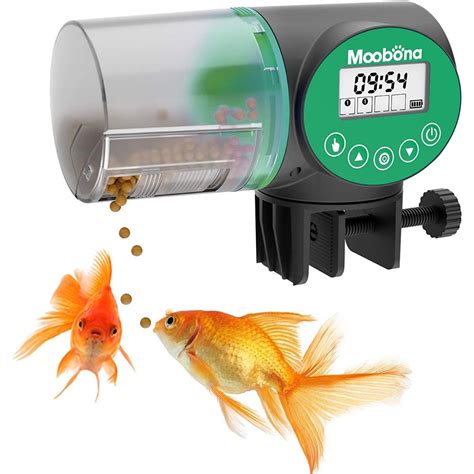 Embracing Convenience and Nutrition: A Comprehensive Guide to Automatic Fish Feeders