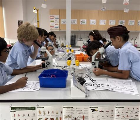 Embracing Forensic Science in Singapore: An In-Depth Exploration