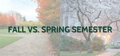 Embracing Full-Time Studies Over the Summer Semester