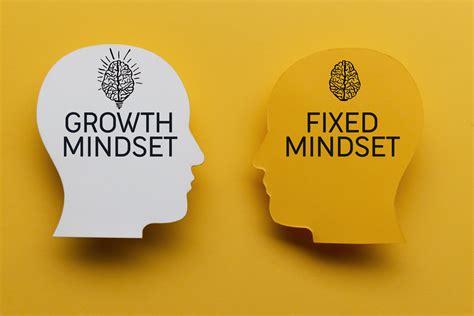 Embracing a Growth Mindset