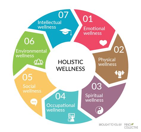 Embracing a Holistic Approach to Health and Wellness: The mscarmenluu Framework