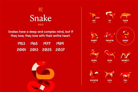 Embracing the 2027 Year of the Snake: Unraveling the Mysteries and Opportunities