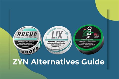 Embracing the Alternatives: A Comprehensive Guide to Zyn Pouch Substitutes