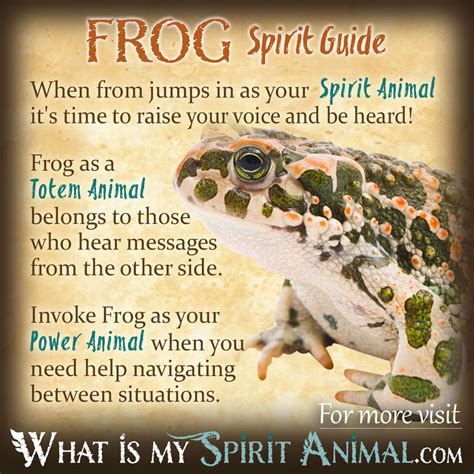 Embracing the Amphibian Spirit