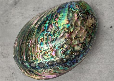 Embracing the Beauty of Abalone