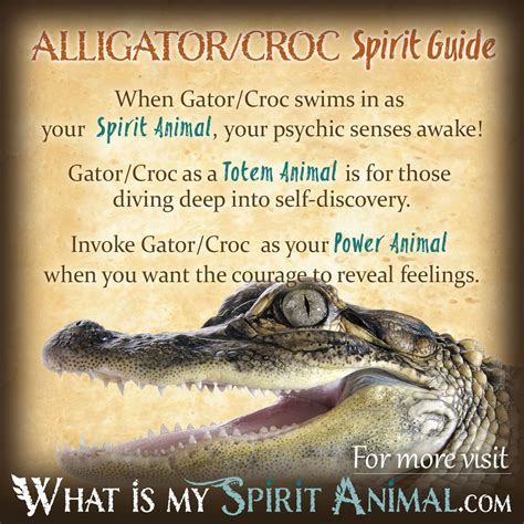 Embracing the Crocodile Spirit: An Unwavering Guide to Success and Resilience