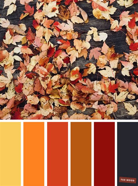 Embracing the Enchanting Hues of Autumn with Colorsofautumn: An Exploration of Fall's Magical Palette