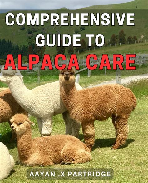 Embracing the Enchanting World of Mimi Alpacas: A Comprehensive Guide to Uncovering Their Magic