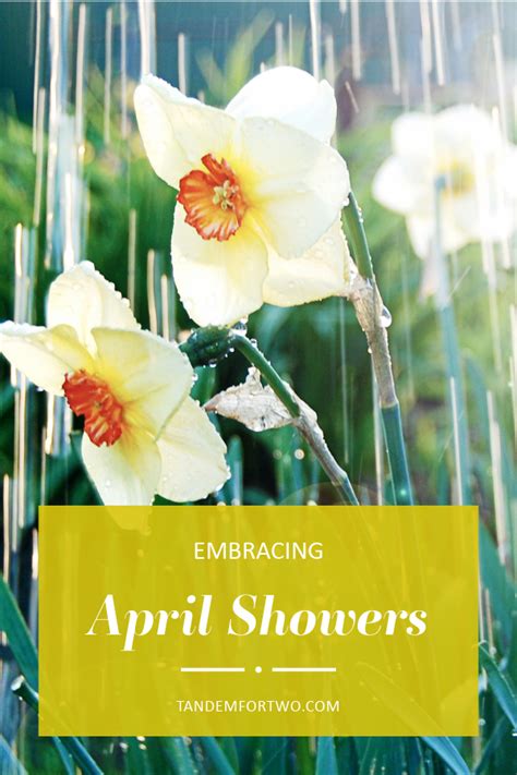 Embracing the Essence of April Showers: Unveiling the Beauty and Benefits