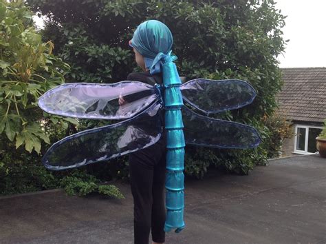 Embracing the Essence of Transformation with a Dragonfly Costume for Adults