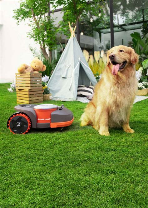 Embracing the Industrial Revolution in Lawn Care: The Unparalleled Precision of Robot Mowers