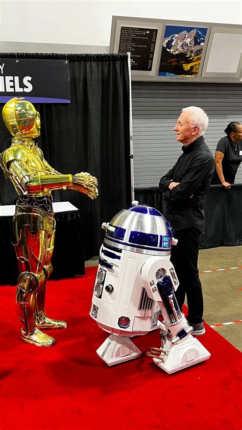 Embracing the Legacy of Gold: A Comprehensive Guide to C-3PO Costumes