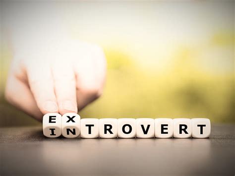 Embracing the Shy Fox: Unlocking the Potential of Introverted Extroverts