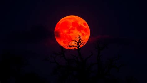 Embracing the Symbolism of the Blood Moon