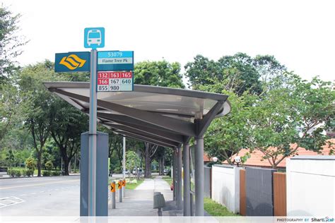 Embracing the Tranquility at MacRitchie Reservoir Bus Stop: A Comprehensive Guide