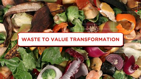 Embracing the Transformation of Waste into Value