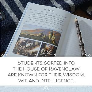 Embracing the Wisdom and Radiance of the Ravenclaw Dress: A Comprehensive Guide