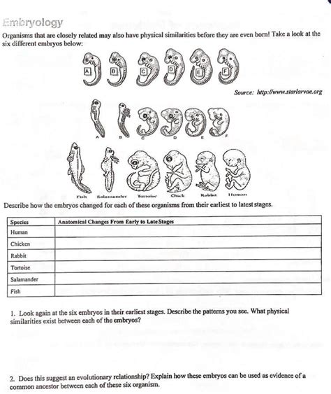 Embryology Answer Key Epub