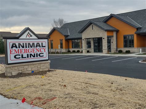 Emergency Animal Hospitals Near Me: Your Pet's Lifeline in Times of Crisis