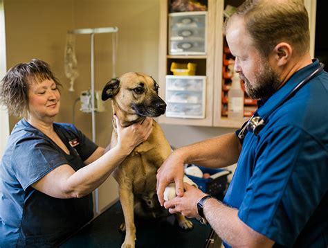 Emergency Veterinary Care for Marshalltown's Most Vulnerable