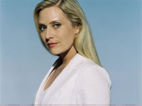 Emily Procter: A Hollywood Success Story