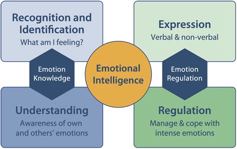 Emotional Intelligence and Projects Reader