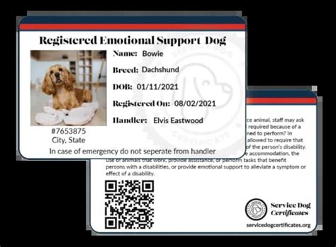 Emotional Support Pet Certification: Your Ultimate Guide to Becoming an ESPC Handler