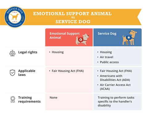 Emotional Support Service Dogs: The 5 Benefits of Having One