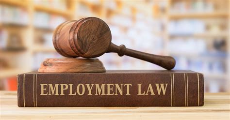 Employment Law Epub