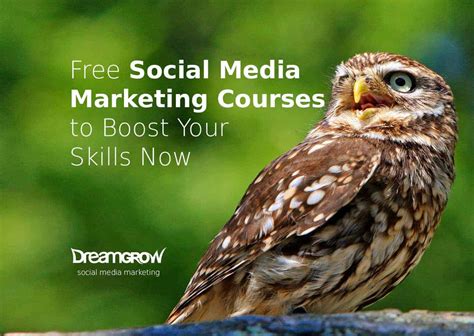 Empower Your Business Through the Mastery of Social Media Marketing Courses