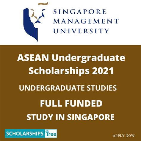 Empowering ASEAN Youth: A Comprehensive Guide to Undergraduate Scholarships