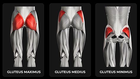 Empowering Asian Bottom: A Comprehensive Guide to Understanding and Enhancing Your Glutes