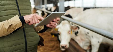 Empowering Cattle Producers with Advanced Technology