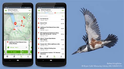 Empowering Citizen Scientists: The eBird Platform