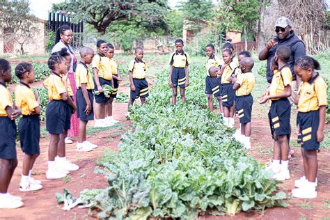 Empowering Communities: SOVAh Gives Hope Through Food Security