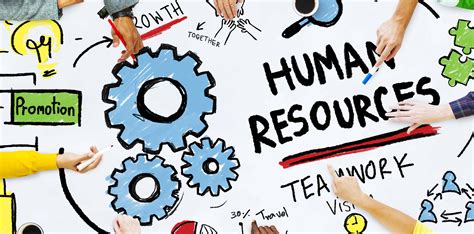 Empowering Human Capital: Comprehensive Guide to Human Resources Courses Online