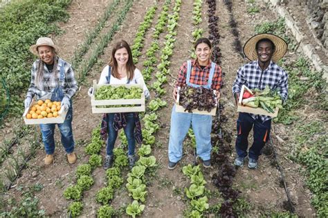 Empowering Local Farmers and Producers