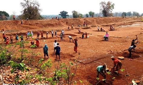 Empowering North Tripura's Workforce: A Look at MGNREGA