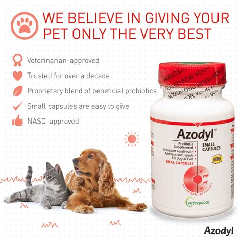 Empowering Pet Health and Well-being: Exploring the Comprehensive Solutions of Vetoquinol