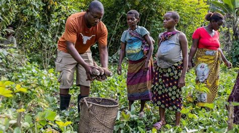 Empowering Rural Communities Through Sustainable Agriculture