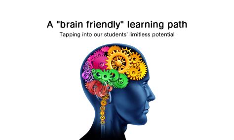 Empowering Self-Study: A Comprehensive Guide to Brain-Friendly Learning at SelfStudyBrain.com