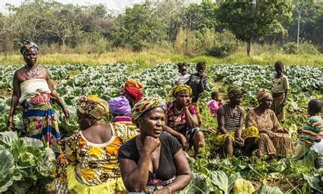 Empowering Women in Agriculture: ISA Laurens' Commitment to the IAFD