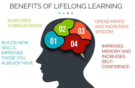 Empowering Your Brain for Lifelong Learning: A Comprehensive Guide to SelfStudyBrain