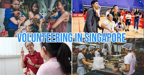 Empowering the Future: The Role of Youth Volunteers in Singapore's Social Fabric