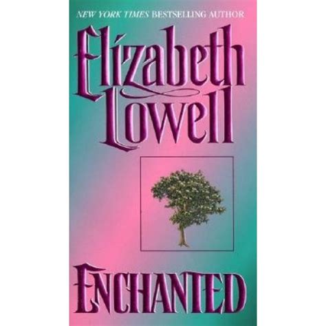 Enchanted Medieval Series Kindle Editon