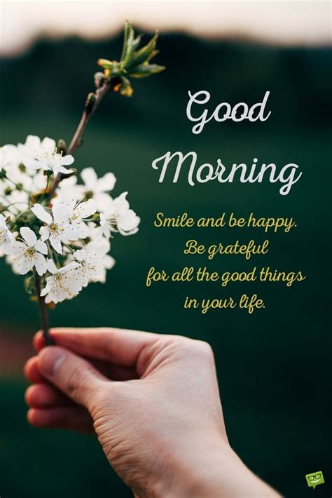 Enchanting Good Morning Messages for Your Boy: Sweeten His Day via WhatsApp